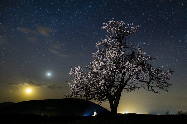 Egy meteor az égbolton a Medves-fennsík felett Salgótarján közelében 2015. április 21-én. Az egyik legrégebben ismert meteorraj, a Lyridák maximumát április 22. és 23. között várják. MTI Fotó: Komka Péter