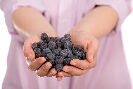 blueberry levelek diabetes kezelésére
