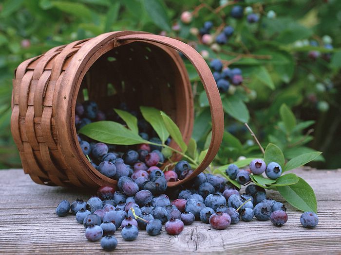 A Blueberry jó a 2-es típusú cukorbetegség számára?