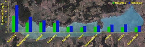 Az algák összmennyiségére utaló a-klorofill (zölddel) és a kékalgák mennyiségét jelző fikocianin (kékkel) koncentrációjának alakulása a Balaton hossztengelyében 2015. július 20-án