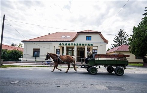 Egy lovaskocsi halad a Fő utcán, a Győr-Moson-Sopron megyei Lébényben 2013. július 12-én. Lébény azon tizennyolc település egyike, amelynek városi címet adományozott a köztársasági elnök 2013. július 15-ei hatállyal. MTI Fotó: Krizsán Csaba