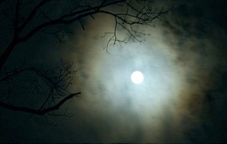 Gyanús fényt észlelt a rendőr, és felfedezte a Holdat