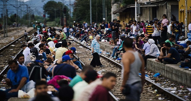 Illegális bevándorlók- A délvidéki magyarokkal mi lesz?