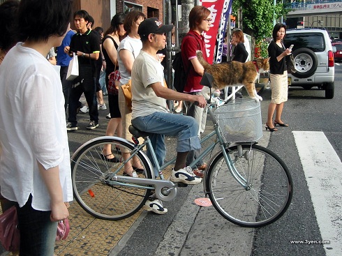 Japán véget vet a szabálysértő kerékpárosok ámokfutásának