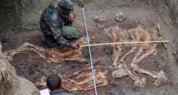 Óriás csontvázakat találtak Oroszországban