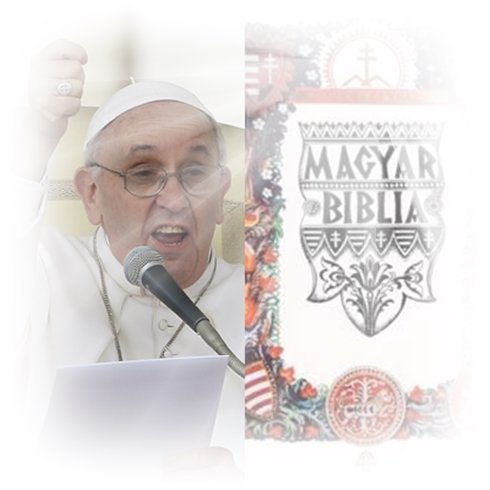Ferenc pápa: „kicsinyes szabályok”